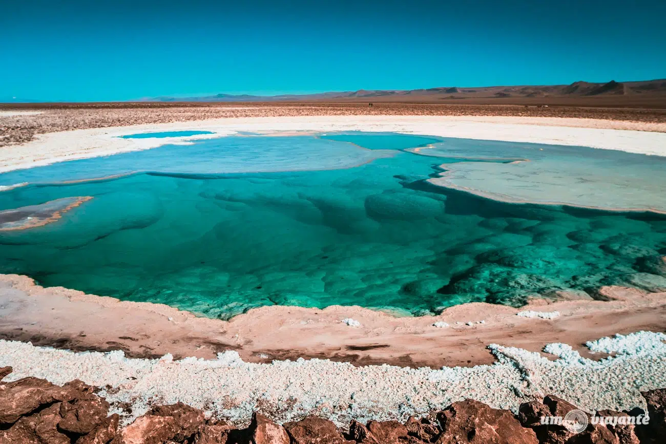 lagunas escondidas baltinache atacama deserto chile 009