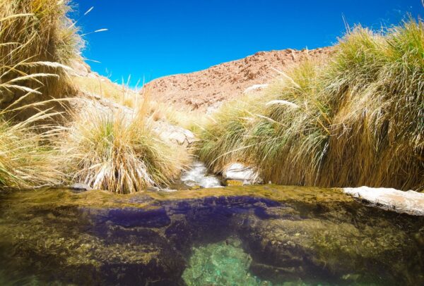 termas puritama atacama 008 e1497887475776 600x406 1